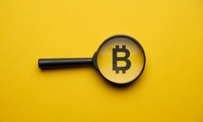 Bones Jones USDC The Ultimate Guide to Stablecoin Investments